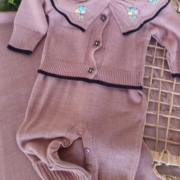 Saída Maternidade Menina